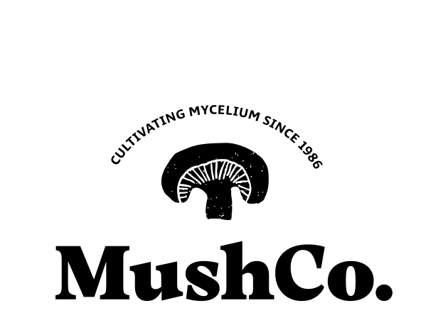 רקע